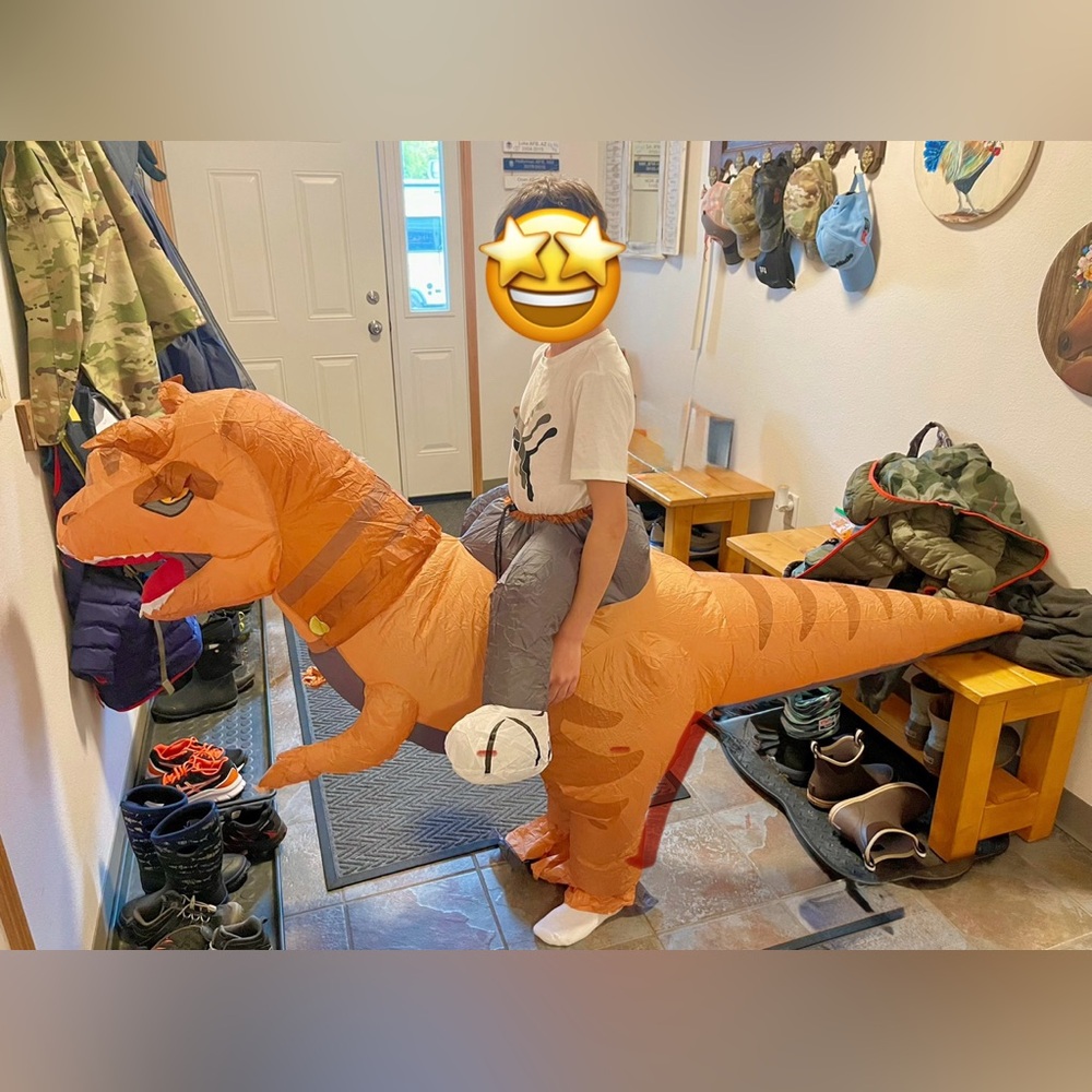 NEW without packaging Inflatable Dinosaur Ride-On Costume.